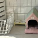 살롱드멍멍 이미지