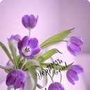 사랑과 기쁨 이미지