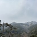 숲속마을어린이집 | 담양 숙소 추천 리사숲속마을 우주마을 카라반 솔직후기 광주 근교 숙소 추천