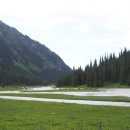 아라사우나 이미지