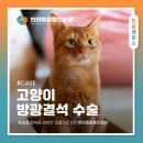 원곡동물병원 네이버블로그