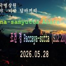 250강. (S12:20) Paccaya (paccayuppanna) suttaṃ 조건 경 이미지