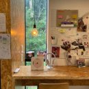 전주시립도서관 꽃심 이미지