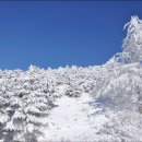 허브밸리(축제장) 이미지