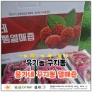 [상품리뷰] 홍가네 꾸지뽕즙 진액, 진짜 괜찮을까? 유기농 구지뽕 건강즙선물로 선택한 이유