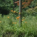 닥터펫 동물의료센터 이미지