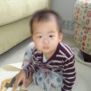 원식농장 이미지