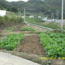 가덕농장 이미지