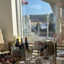 기장애견 이미지