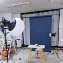 백일몽첩