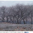 아름다운한국 통일1번지 고성- 경향신문사 이미지