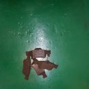 죽전자동차정비 이미지