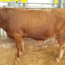 충청남도축산기술연구소 이미지