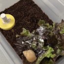 금진농장 이미지