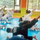 용인대 코리아 태권도 이미지