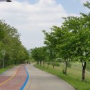 국토종주자전거길1-35 이미지