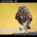 왁싱해 이미지