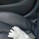 비비게러지 이미지