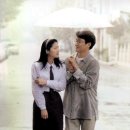 연인들 Daum카페