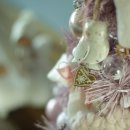 자넷 앤 캐시 이미지