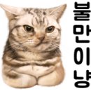 그레잇컴