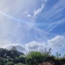 제주마중 협재 이미지