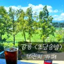 사임당가구 - 진주시 신안로 165 | 강릉 한옥카페 초당송방 - 초당두부샐러드 강릉커피 노키즈존 내돈내산 솔직후기