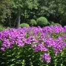 대관령전망대 이미지