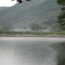 해송농장 이미지