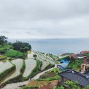 다랭이마을 | 남해 다랭이마을 주차 전망대와 포토존 후기