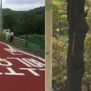 노인보호구역 표지판 이미지