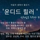 운디드힐러