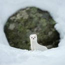 다팜 - 부안군 시장길 29 | 다팜