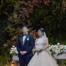 올로르 | [W10] 수원 아이폰스냅 &#39;올로르 스냅&#39; 계약 후기 | 짝꿍코드