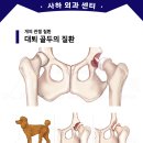 쿠키동물병원 | 대퇴골두 제거 수술 - 쿠키 [사하동물병원]
