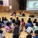 합일초등학교 이미지