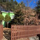 위드펫 빌리지 이미지