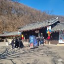 용인시 관광안내소(한국민속촌) | 용인한국민속촌 꿀팁 겨울여행 정리