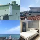 금성브릿지 민박 | [ 애월숙소 ] 제주여행 첫 날 편안했던 금성브릿지민박 내돈내산 후기