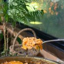 토지보리밥 | 울산오리불고기맛집 아이랑 삼산 토지보리밥 찐후기