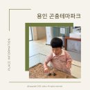 테마파크 | 용인 아이랑 가볼만한 곳, 곤충 체험 가능한 용인 곤충테마파크 후기