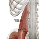 턴피트니스 이미지