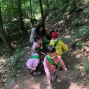 푸른솔어린이집 이미지