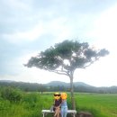 선흘곶 제주도 동쪽코스 <b>선흘곶</b>식당 ,카페 자드부팡, 비밀의숲 산책 인생샷