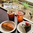 카페하루플란트 | 대구 앞산 대형 카페 추천 플란트