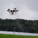 성주군 금수면 CNB뉴스