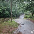 용봉산자연휴양림 이미지