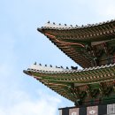 속수지례 이미지