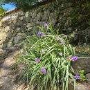 달빛아래채 이미지