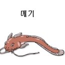 에스로드 이미지